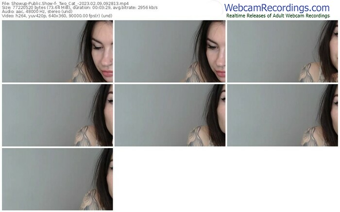 showup-_two_cat_-02-09-2023-09-28-13