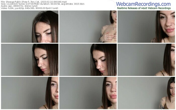 showup-_two_cat_-02-10-2023-09-03-40