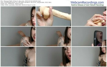 showup-_two_cat_-02-10-2023-12-01-52