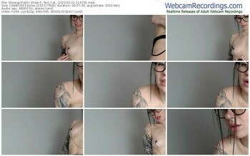 showup-_two_cat_-02-11-2023-11-47-01