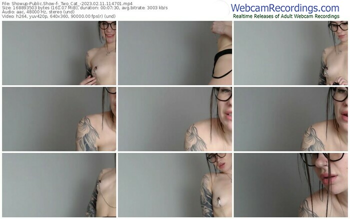 showup-_two_cat_-02-11-2023-11-47-01