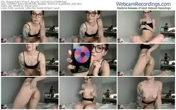 showup-_two_cat_-02-11-2023-17-28-09