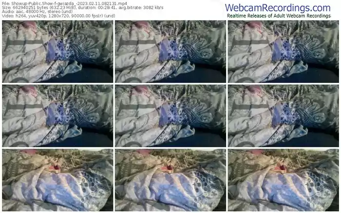 showup-gwiazda_-02-11-2023-08-21-31