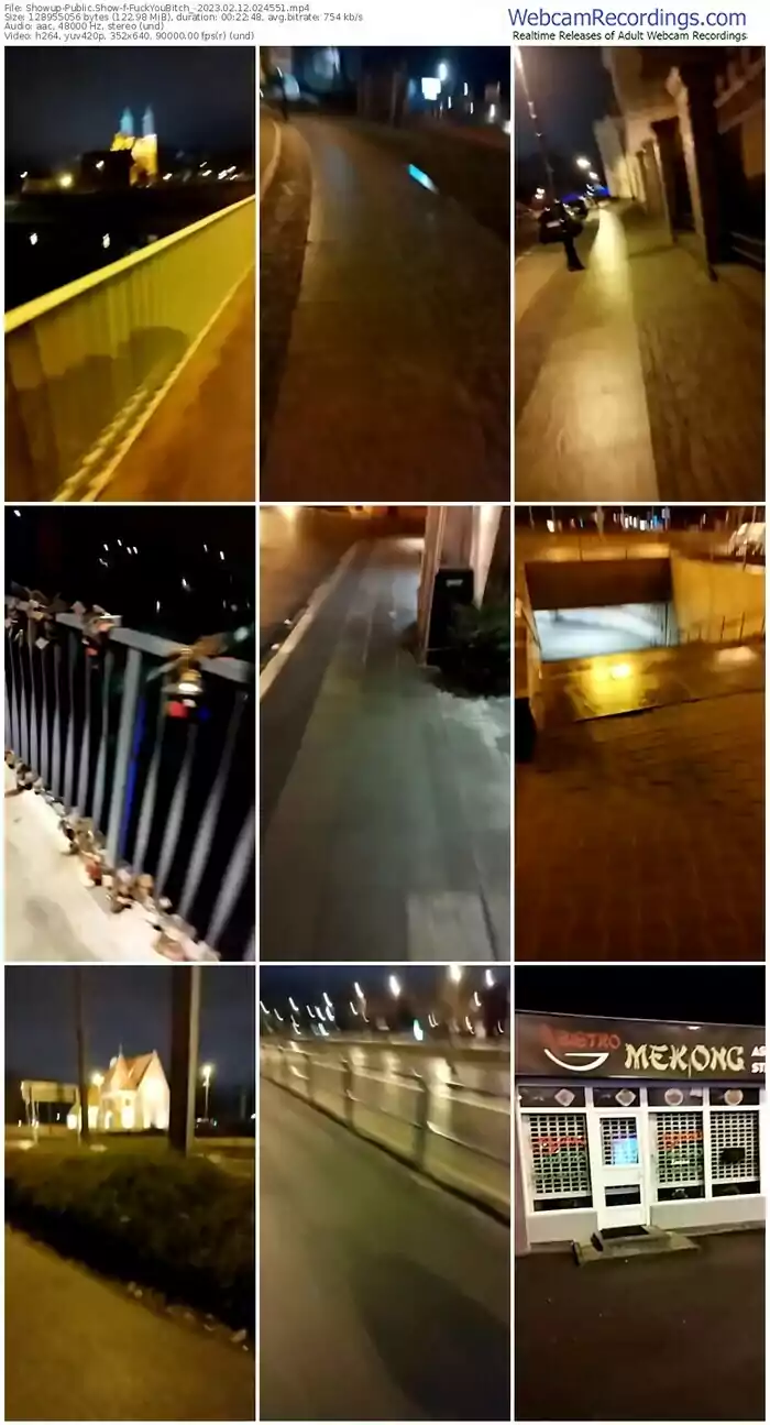 showup-fuckyoubitch_-02-12-2023-02-45-51