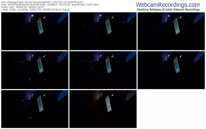 showup-fuckyoubitch_-02-12-2023-04-09-53