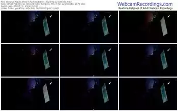 showup-fuckyoubitch_-02-12-2023-04-43-39