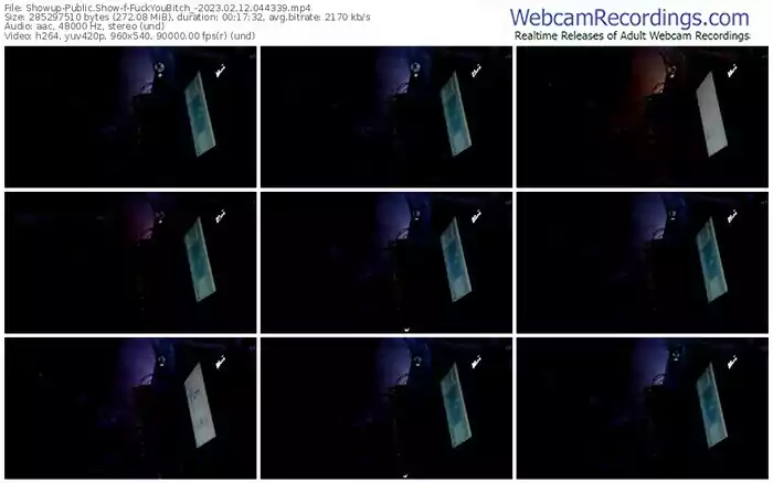 showup-fuckyoubitch_-02-12-2023-04-43-39