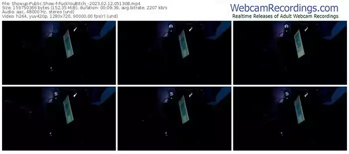 showup-fuckyoubitch_-02-12-2023-05-13-08