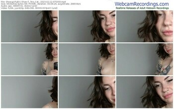 showup-_two_cat_-02-12-2023-07-50-03