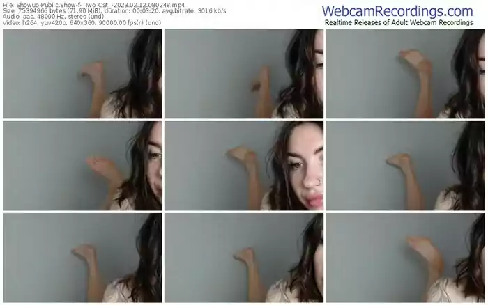 showup-_two_cat_-02-12-2023-08-02-48