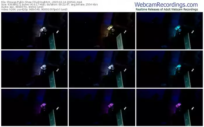 showup-fuckyoubitch_-02-14-2023-22-05-41