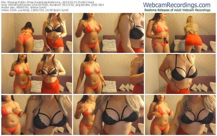 showup-warszawskakocica_-02-15-2023-21-46-12