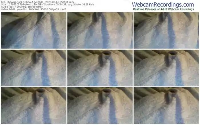 showup-gwiazda_-02-16-2023-05-09-21