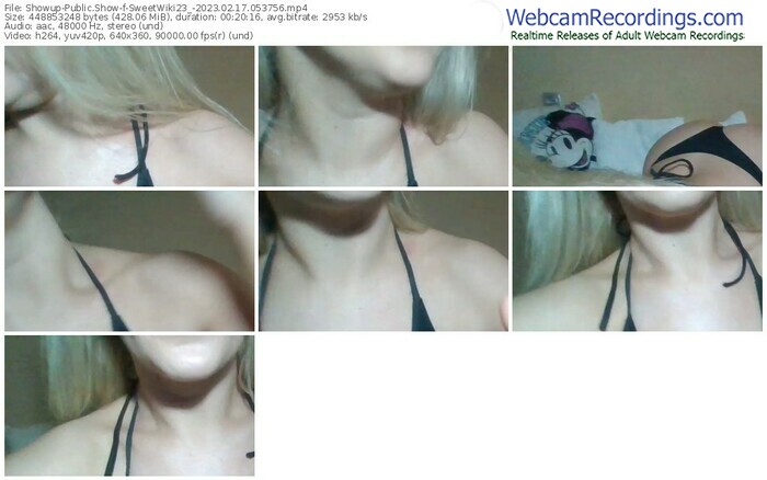 showup-sweetwiki23_-02-17-2023-05-37-56