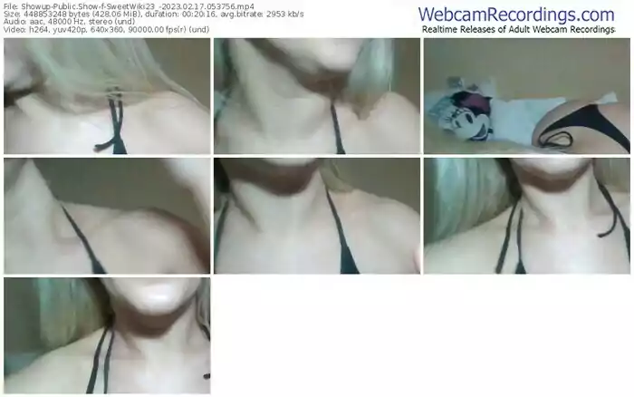 showup-sweetwiki23_-02-17-2023-05-37-56