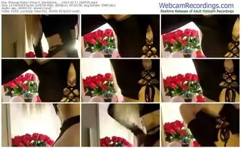 showup-_borderline___-02-17-2023-20-45-25