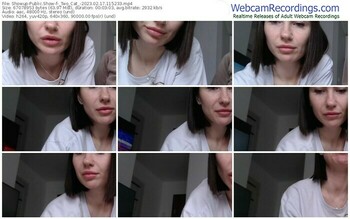 showup-_two_cat_-02-17-2023-11-52-33