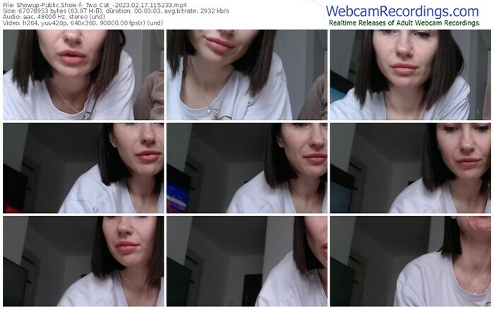 showup-_two_cat_-02-17-2023-11-52-33