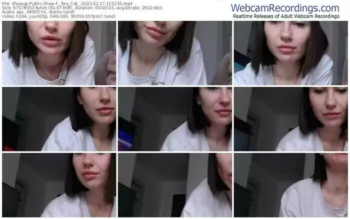 showup-_two_cat_-02-17-2023-11-52-33