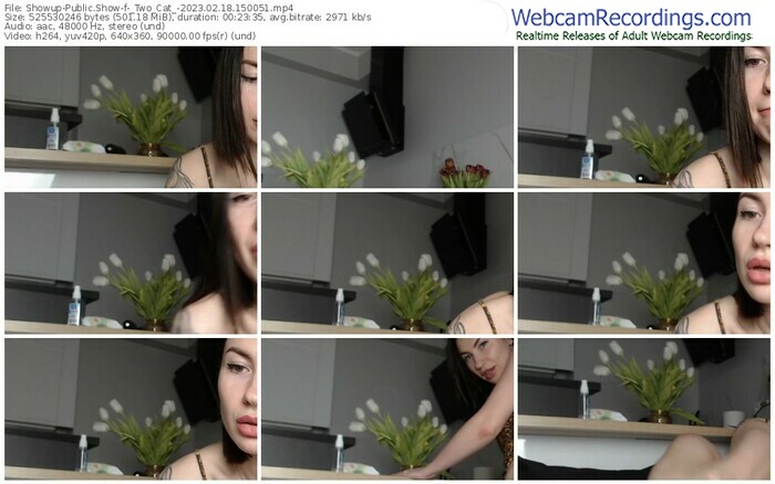 showup-_two_cat_-02-18-2023-15-00-51