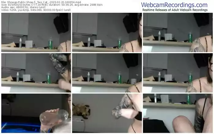 showup-_two_cat_-02-20-2023-16-06-54