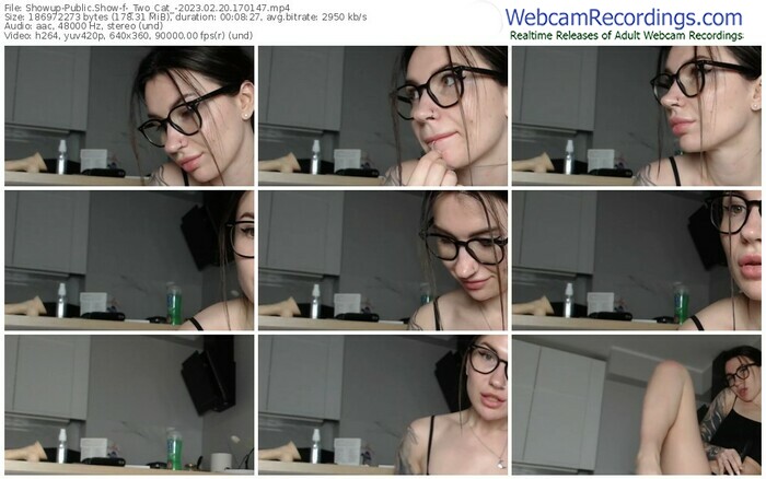 showup-_two_cat_-02-20-2023-17-01-47