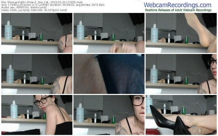 showup-_two_cat_-02-20-2023-17-26-51