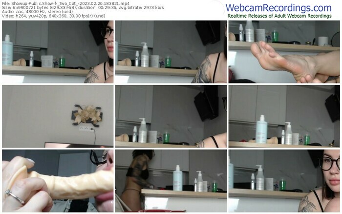 showup-_two_cat_-02-20-2023-18-38-21