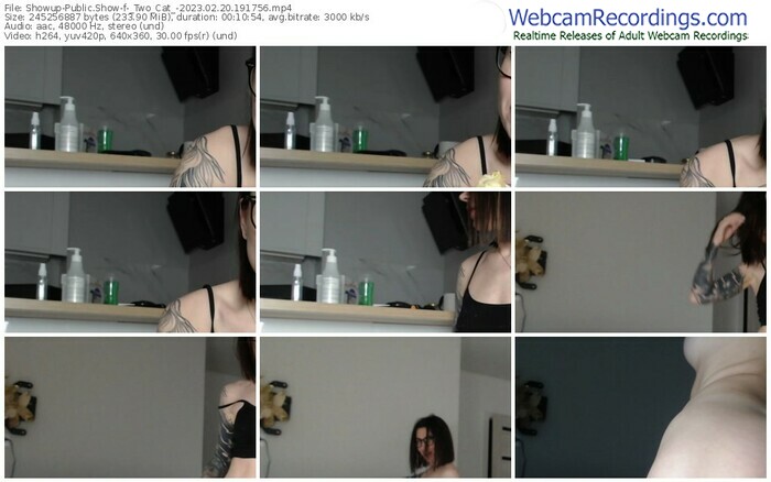 showup-_two_cat_-02-20-2023-19-17-56