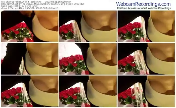 showup-_borderline___-02-21-2023-16-38-28