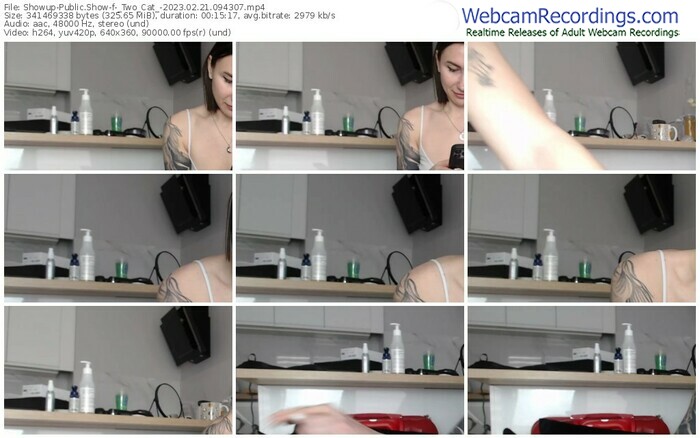 showup-_two_cat_-02-21-2023-09-43-07