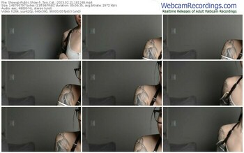 showup-_two_cat_-02-21-2023-18-12-48