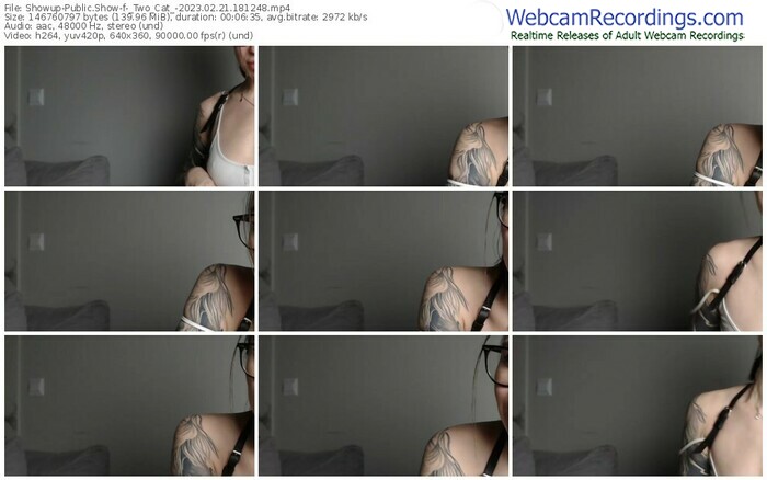showup-_two_cat_-02-21-2023-18-12-48