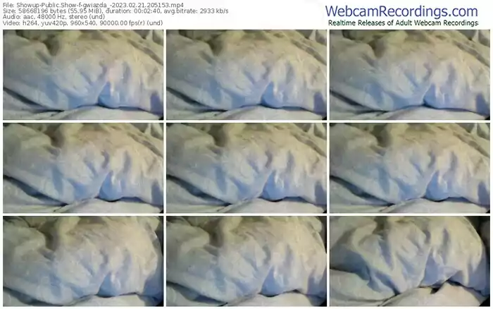 showup-gwiazda_-02-21-2023-20-51-53