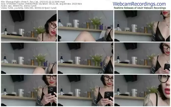 showup-_two_cat_-02-22-2023-11-39-40