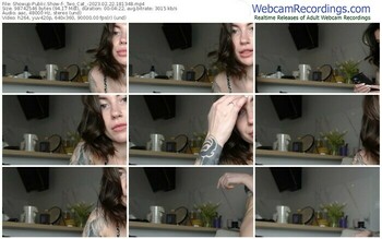 showup-_two_cat_-02-22-2023-18-13-48