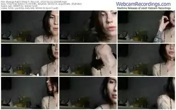 showup-_two_cat_-02-22-2023-22-49-26