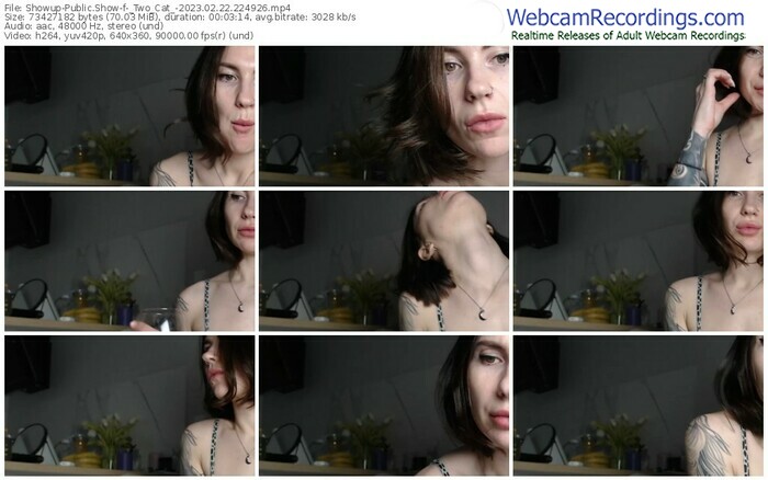 showup-_two_cat_-02-22-2023-22-49-26