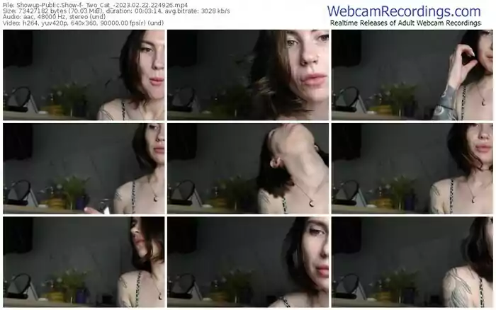 showup-_two_cat_-02-22-2023-22-49-26