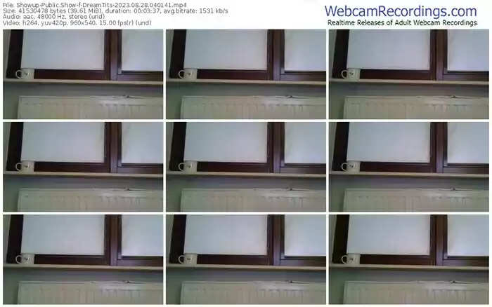 showup-dreamtits-08-28-2023-04-01-41