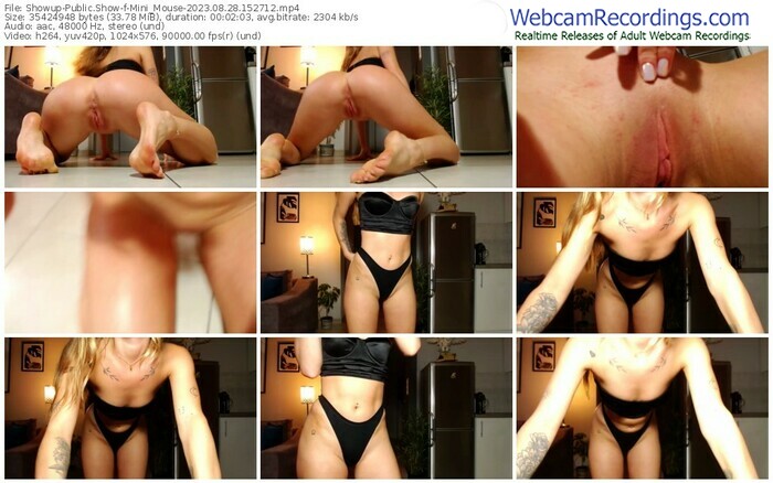 showup-mini_mouse-08-28-2023-15-27-12