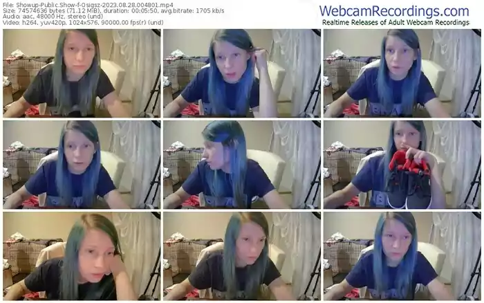 showup-osigsz-08-28-2023-00-48-01