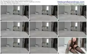 showup-_two_cat-09-04-2023-08-41-43