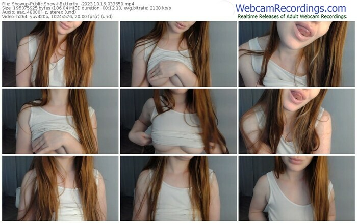 showup-butterfly_-10-16-2023-03-36-50