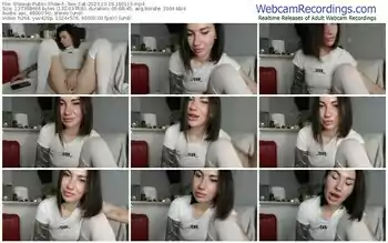 showup-_two_cat-10-19-2023-18-01-16