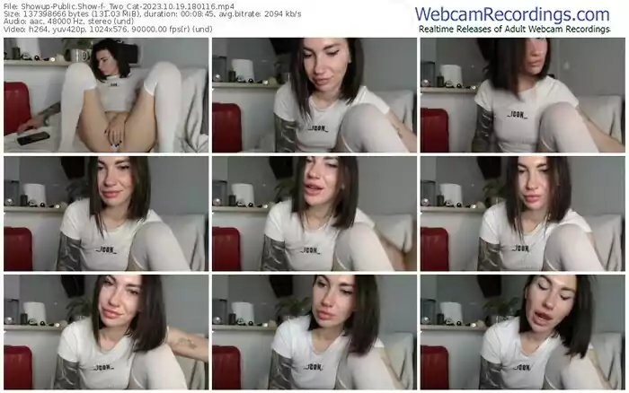 showup-_two_cat-10-19-2023-18-01-16