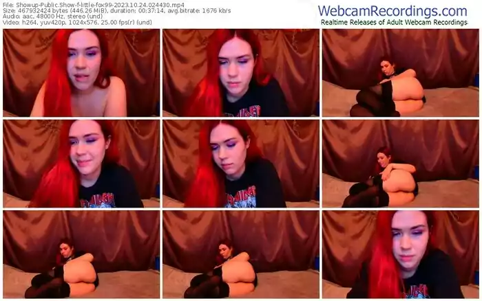 showup-little-fox99-10-24-2023-02-44-30