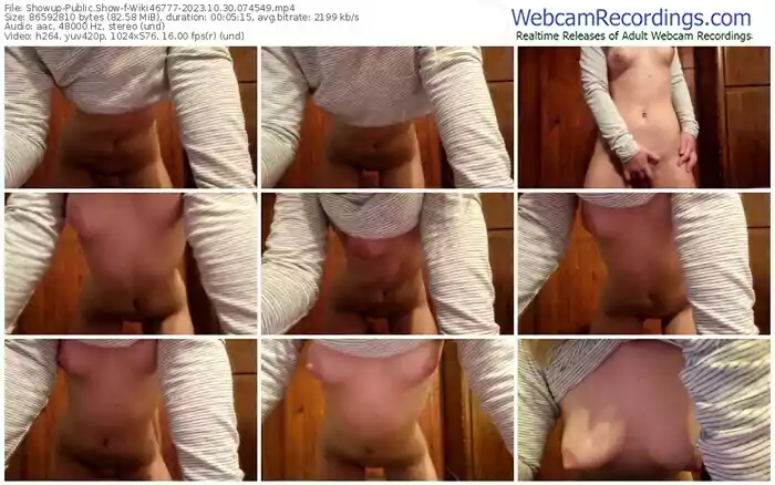 showup-wiki46777-10-30-2023-07-45-49