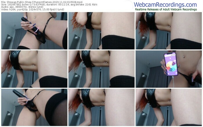 showup-pussyinflames-11-02-2023-01-05-08