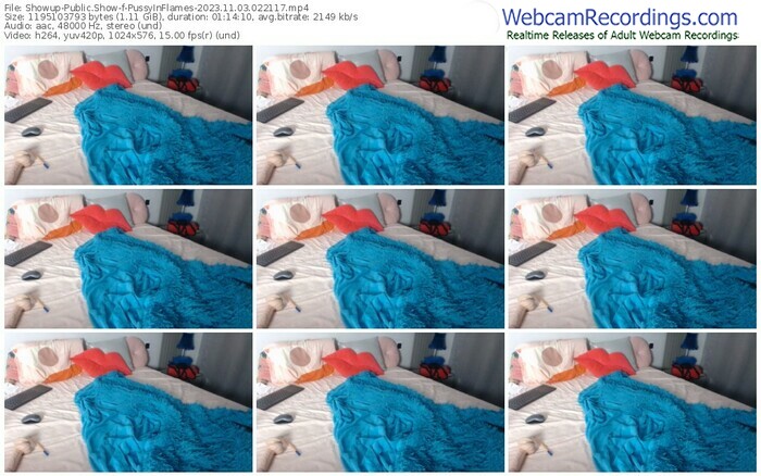 showup-pussyinflames-11-03-2023-02-21-17